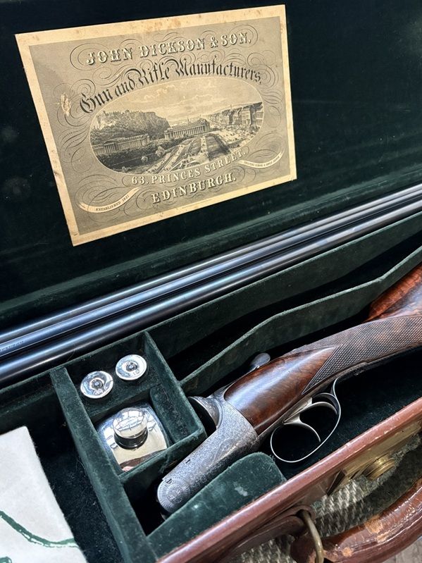 691dccfd3bd4f481013223